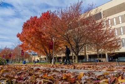 Stony Brook University Receives 11th Tree Campus USA Designation